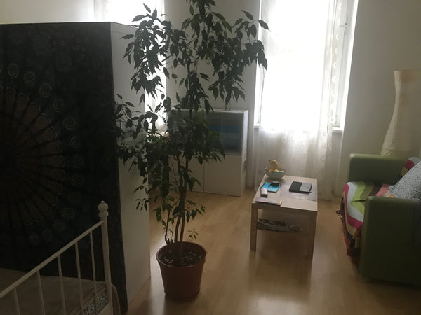 Du wohnst in einem Altbau in der Leopoldstadt mit zwei Mitbewohnern, die aber eh Austria Lovely, cosy room close to Prater Private room in rental unit vacation rental 26365018