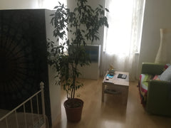 Du wohnst in einem Altbau in der Leopoldstadt mit zwei Mitbewohnern, die aber eh Austria Lovely, cosy room close to Prater Private room in rental unit vacation rental 26365018