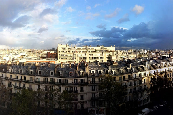 Idéalement situé sur un grand boulevard proche du Marais, entre la place de la B Paris, France Charmant 2 pièces avec vue sur les toits de Paris Entire rental unit vacation rental 18967365