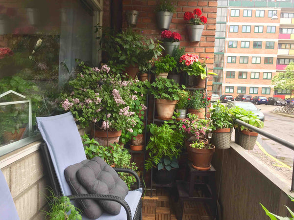 Small and cosy apartment, lot's of plants and danish hygge.<br />Alcove, tub and Copenhagen, Denmark Cute and cosy studio - balcony and tub. Entire rental unit vacation rental 31913063