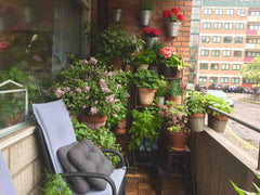 Small and cosy apartment, lot's of plants and danish hygge.<br />Alcove, tub and Copenhagen, Denmark Cute and cosy studio - balcony and tub. Entire rental unit vacation rental 31913063