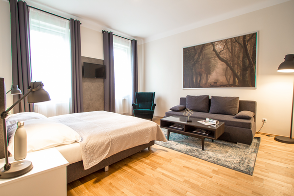 Lass den Alltag hinter Dir und lebe entspannt auf großzügigen 67 m². Diese klass Vienna, Austria CheckVienna - Enenkelstrasse 3-room Entire rental unit vacation rental 44273559