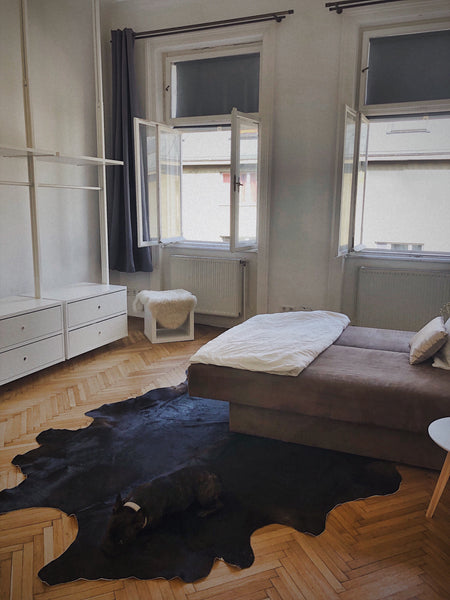 Stylische Altbau-Wohnung mit einer exzellenten Anbindung und Infrastruktur. Ich  Vienna, Austria Stylish Apartment next to Belvedere Private room in rental unit vacation rental 25650691