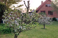 Charmerende murermestervilla fra 1934 i rolig kvarter.  Huset har en fantastisk  Copenhagen, Denmark Sommerferie i København Entire home vacation rental 2280126