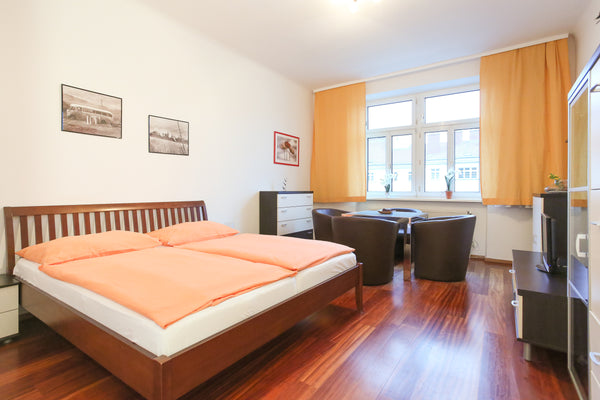 Praktische Wohnung für bis zu 3 Personen ideal geeignet und komplett ausgestatte Vienna, Austria Zwischen Donau und City Center, für bis zu 3 Pers. Entire rental unit vacation rental 19960479