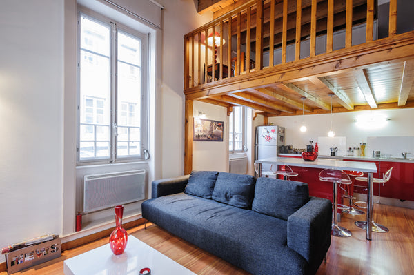 T1 très spacieux (60m2) en plein centre du typique quartier de la Croix-Rousse.< Lyon, France Au coeur de la Croix-Rousse Entire rental unit vacation rental 9150729