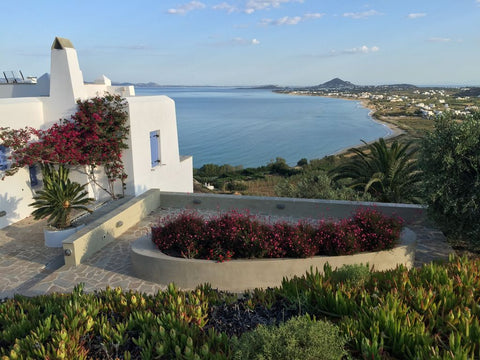 Villa Agapui is set amongst native trees and shrubs and comprises of 2 separate  Naxos, Greece Villa Agapui, Orkos area Naxos Island Entire villa vacation rental 551942149813580784