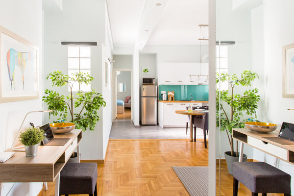 Hier beginnt der Tag mit einem ausgiebigen stärkenden Frühstück im sonnendurchfl Berlin, Berlin, Germany Entdecke die Geschichte Athens von einer modernen, hellen Wohnung aus Entire rental unit vacation rental 23961453