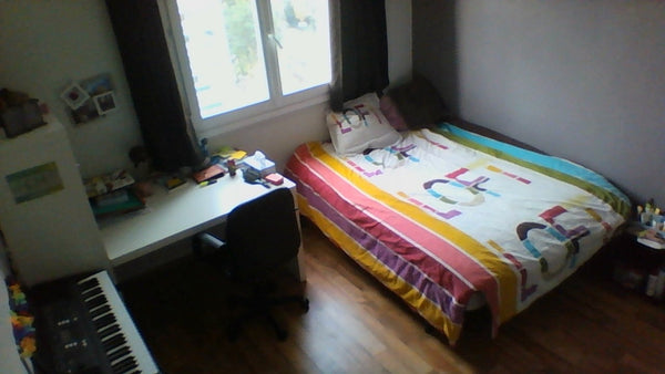 Chambre agréable et spacieuse avec un grand lit double confortable, dans un appa Lyon, France Chambre spacieuse à proximité du centre-ville Private room in condo vacation rental 22095865