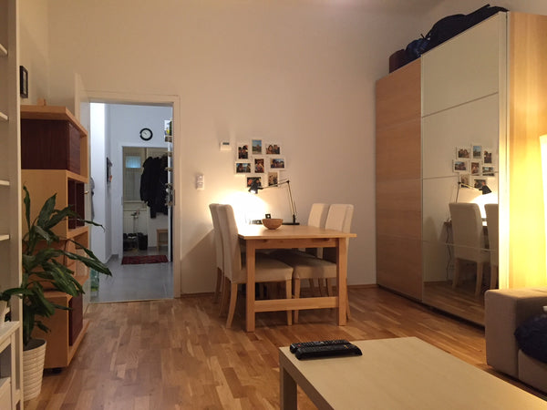 Luminous, spacious, new renovated and lovely furnitured apartment with a view to Vienna, Austria Comfy City Center Apartment Entire rental unit vacation rental 22420146