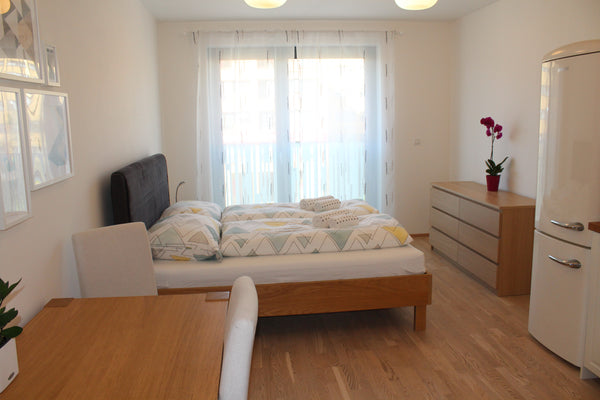 Útulné studio v Rezidenci Garden Towers s parkováním v podzemní garáži a společn Prague, Czechia Rezidence Garden Towers - studio s parkováním Entire condo vacation rental 612647018036069660