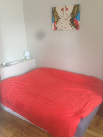 Bonjour,<br /><br />Pour un départ en vacances, je sous-loue mon appartement 1 p  Charmant et superbe studio 30m2 Entire rental unit vacation rental 7102882