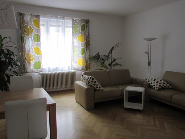 The 3-rooms apt accessible by an elevator, and  offers a quiet location (no traf Vienna, Austria Quiet and spacious apt, 5 minutes to Stephansdom Entire rental unit vacation rental 21796883