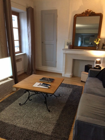 Apartment located in the centre of Lyon, along the river Saône. I'm letting the  Lyon, France Room 3 ppl - River Saône / Célestin theatre Private room in rental unit vacation rental 22046248