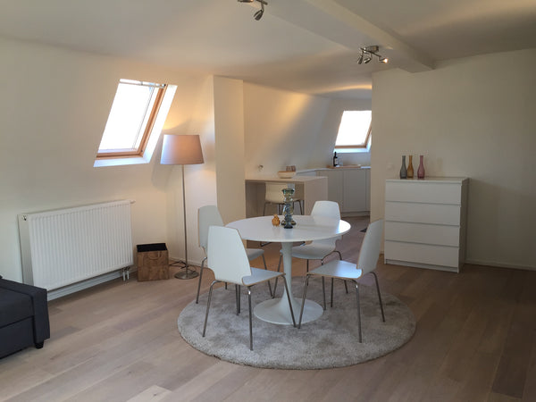 Met hart en ziel hebben wij dit charmante 1-slpk app. op het hippe Antwerpse Zui Antwerp, Belgium Gezellig 1-slpk app. op toplocatie met terras Entire rental unit vacation rental 15650986