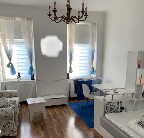 This fully furnished 1 room apartment has everything you might need to enjoy Vie Vienna, Austria cosy city apartment close to train station Entire rental unit vacation rental 572356132550224235