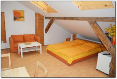 Our house is located in the quiet, but vibrant part of city well known as the mo Prague, Czechia MACHEK´s apartments - romantic apartment Attic Entire home vacation rental 3480125