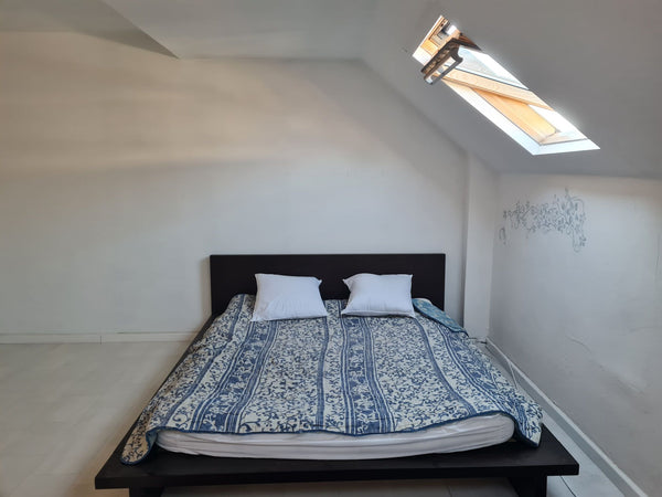 It's a studio just for you, with very good natural lighting, seven minutes walki Brussels, Belgium Studio appartment with good light close to center Entire condo vacation rental 690534646534547010