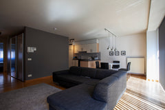 Charming, bright apartment on top location on 'Zuid', between the river and Waal  Cosy bright apartment Antwerp 'Zuid' with parking Entire rental unit vacation rental 30949150