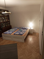Odpočiň si a uvolni se v této klidné oáze. Czechia Room in Prague 3 for girls only -6km to center Private room in condo vacation rental 53083940
