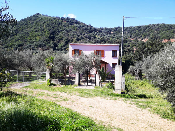If you are looking for a quiet place to stay away from the city, then you are in Chania, Greece Hidden traditional cretan house in nature! Earthen home vacation rental 23356682