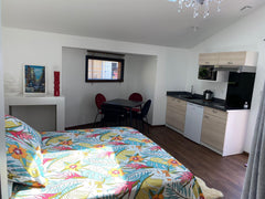 Studio indépendant au fond du jardin du propriétaire, Gilles. Terrasse privative Rennes, France Cabane au fond du jardin, Bordeaux - Floirac Entire guesthouse vacation rental 53745002