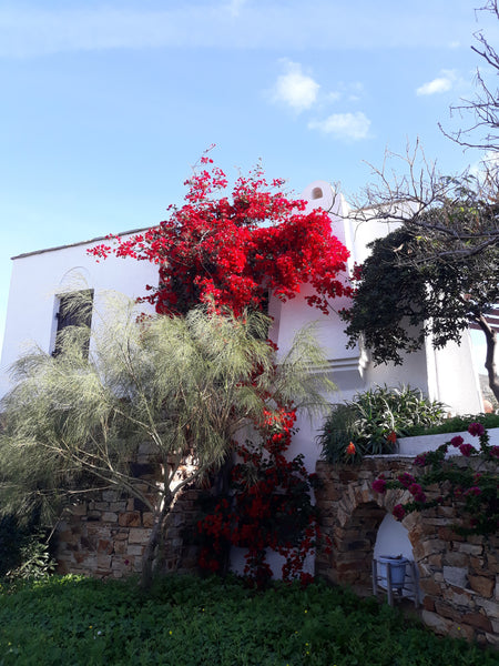 A Chora/Town house with 2 levels. On the ground floor there is a master bedroom, Naxos, Greece Aurelia- The moon jelly- Η μέδουσα του φεγγαριού Entire home vacation rental 27648880