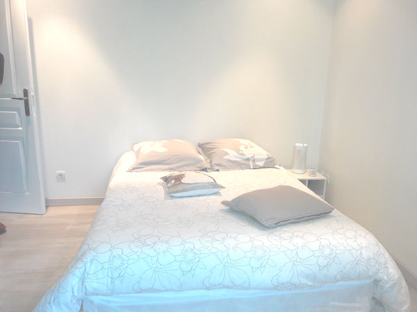 Chambre d environs 15m2 avec grand lit ,télé wifi et salle de bain avec douche.<  Chambre zen Private room in townhouse vacation rental 39772440