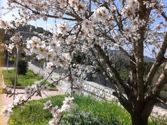 Just 15km away from the city of  Chania ,on the road to Omalos plateau,this newl  Country Escape 15min. away from Chania city Private room in villa vacation rental 21056937