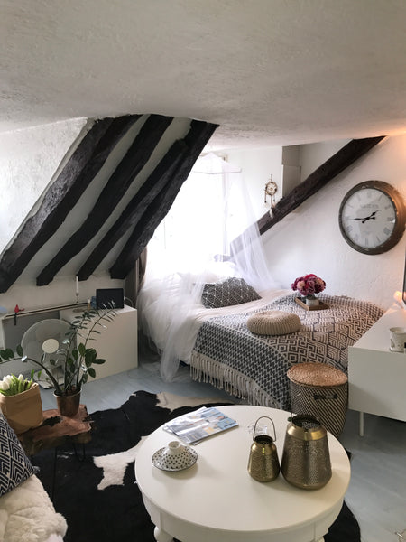 A deux pas (2 min à pied)de la Place de l'Opéra, du Boulevard Haussmann (Grands  Paris, France Petit nid cosy au centre de Paris. Entire rental unit vacation rental 20436479