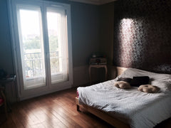 Grande chambre à louer dans une colocation de 93m².<br /><br /><b>The space</b>< Paris, France Grande chambre (17m²) ds colocation Private room in rental unit vacation rental 6110929