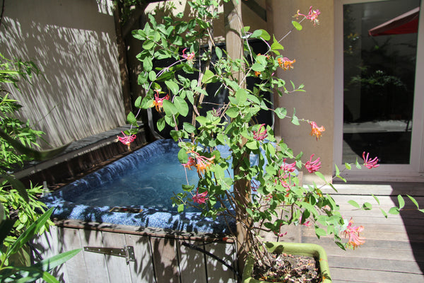 Perfect location for business or visiting Paris - top public transports, calm st Paris, France Terrace & Spa Retreat / 3-5 lrlparis Entire serviced apartment vacation rental 1292910