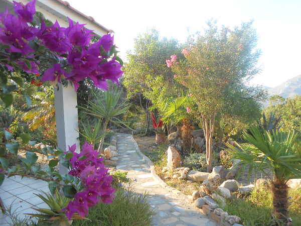 Guest house,designed with love,in a quiet area and in view of the South-Cretan c Asomatos, Greece Wildgarden - Guest House Entire rental unit vacation rental 13758304