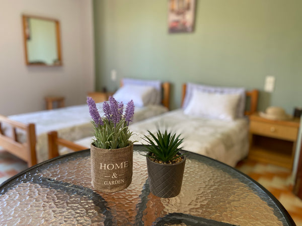 Ideal Room for a quiet holiday near the main beach of Agia Pelagia. Fast WiFi 30 Agia Pelagia, Greece Ag.Pelagia Relaxing vacations(CACTUS 2) Entire rental unit vacation rental 49977861