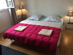 Bonjour,<br /><br />Je serai heureux de vous accueillir dans mon appartement fra Lyon, France LYON Part Dieu : Grand Chambre dans un T3 de 83 m2 Private room in rental unit vacation rental 26272078