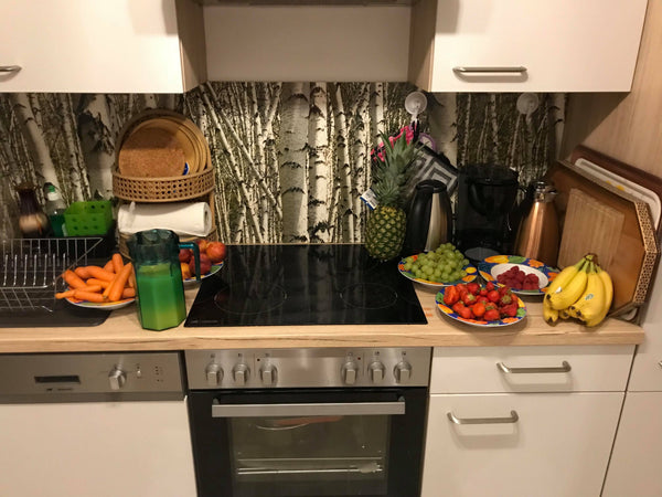 Newly Renovated Apartment (47 m2 ). <br />Only 15 min by walk and 2 min by car T Vienna, Austria Fresh Fruits in Stylish Flat Close to City Center Entire rental unit vacation rental 25946021