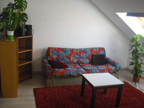 Un charmant appartement dans le haut de Saint-Gilles (place Albert), à 3 minutes Brussels, Belgium Charmant appartement à Saint-Gilles Entire rental unit vacation rental 11968063