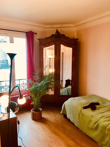 we´re three students living together in this flat, but two of us are going to ha Berlin, Germany Lovely apartment in Belleville Private room in rental unit vacation rental 22238687