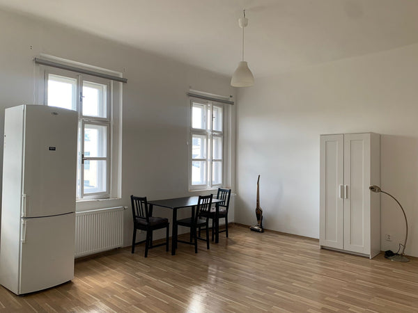 Sunlit spacious apartment in first floor of relatively newly build. Fully renova  New sunlit apartment close to city center Entire condo vacation rental 604252647577173166