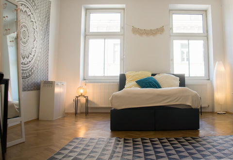 25m2 Privatzimmer in 105m2 großer Wiener Altbauwohnung (geteilt mit mir – Studen Germany Central & Spacious Room near Volksoper Private room in rental unit vacation rental 23809003