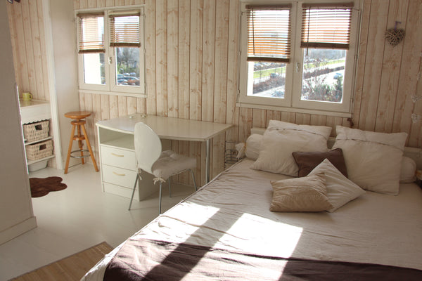 Chambre spacieuse et ensoleillée agencée en studio: coin salle de  bain (WC/lava Cenon, France Chambre 