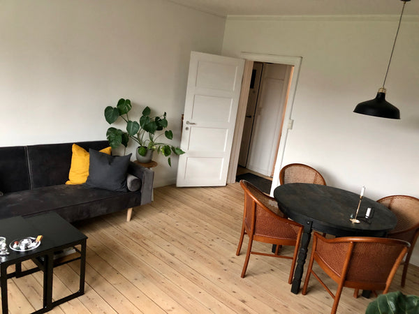 We welcome you into our home in the upcoming neighborhood, Sydhavn in Copenhagen Copenhagen, Denmark Cozy and light apartment in central Copenhagen Entire rental unit vacation rental 37351407