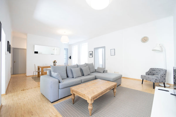 The apartment consists of:<br /><br />A spacious living and dining area with a c Vienna, Austria Amazing Apartment near Börse - Apt 24 Entire rental unit vacation rental 1207728