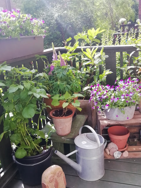 Charming newly renovated apartment in quiet area - 10 mins from city centre.<br  Copenhagen, Denmark Ideal for couple, ground floor, own terrace - Cph Entire rental unit vacation rental 21273227