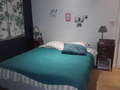 Chambre avec vue sur le jardin à 10mns du centre ville,footing au jardin public,  Loue grande chambre a 10mns du centre ville Private room in home vacation rental 23648481