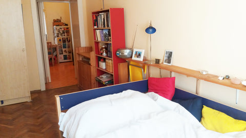 Welcome in my apartment in Vienna! I'm offering a  single room with shared use o Vienna, Austria Cosy room in old style central Viennese flat Private room in rental unit vacation rental 2877095