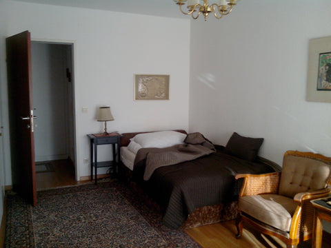 Nice appartement in the very heart of vienna but in a quiet street. 2 mn away fr Vienna, Austria luminous and central appartment Entire rental unit vacation rental 9793913