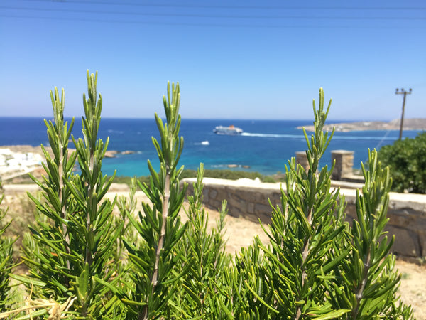 Situated up on a hill towards the Central Road of Parikia this Cycladic House of Athens, Greece View House in Parikia Paros Cycladic home vacation rental 19481310