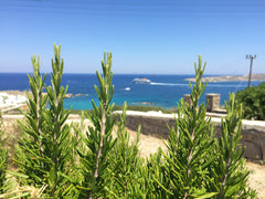 Situated up on a hill towards the Central Road of Parikia this Cycladic House of Athens, Greece View House in Parikia Paros Cycladic home vacation rental 19481310