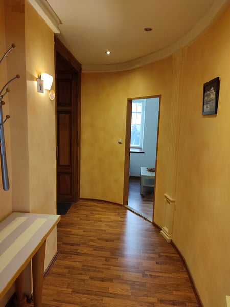 Velmi útulný byt v přízemí dostatečně pohodlný pro dvě osoby v samém centru Prah Prague, Czechia Greg Apartments Kampa II Prague Entire serviced apartment vacation rental 52127063